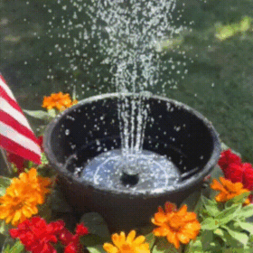 🔥Solar-Powered Bird Fountain Kit🐦️