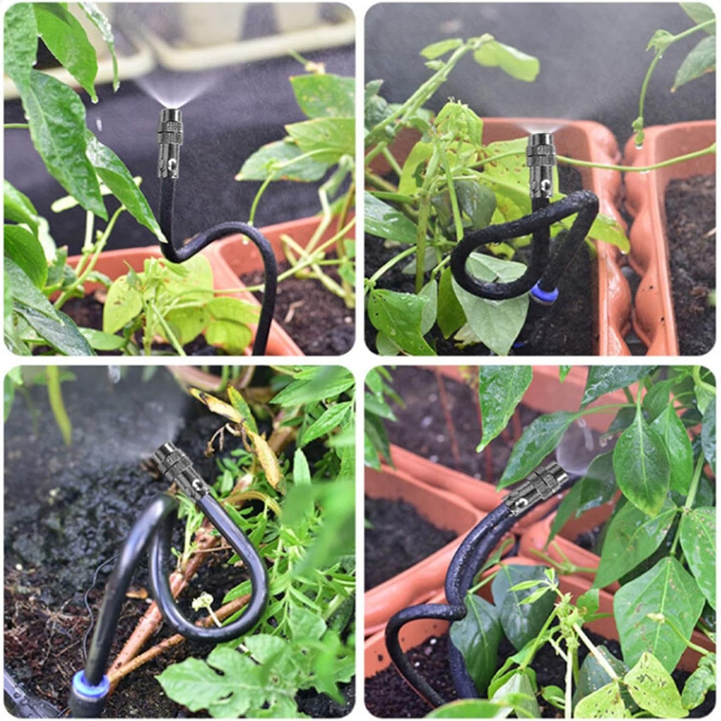 🔥🚿360° Curved Garden Automatic Irrigation System