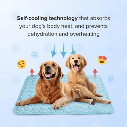 🐶 Super Value Deal: Only $17.99 — Pet Summer Cooling Mat