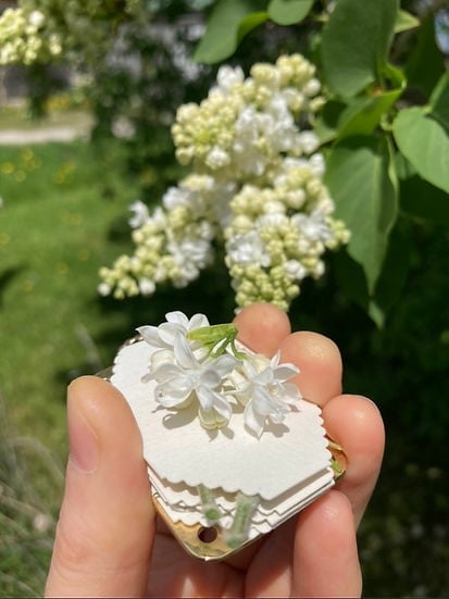 💐2026 Micro Flower Press
