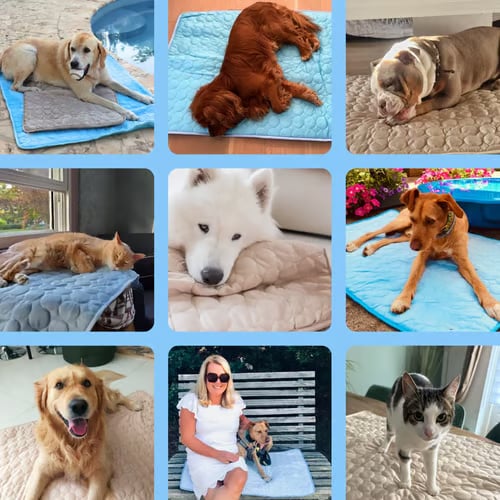 🐶 Super Value Deal: Only $17.99 — Pet Summer Cooling Mat