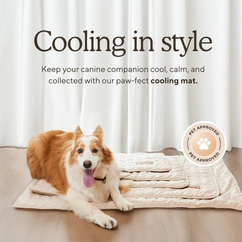🐶 Super Value Deal: Only $17.99 — Pet Summer Cooling Mat