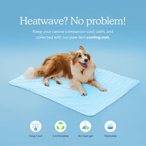 🐶 Super Value Deal: Only $17.99 — Pet Summer Cooling Mat
