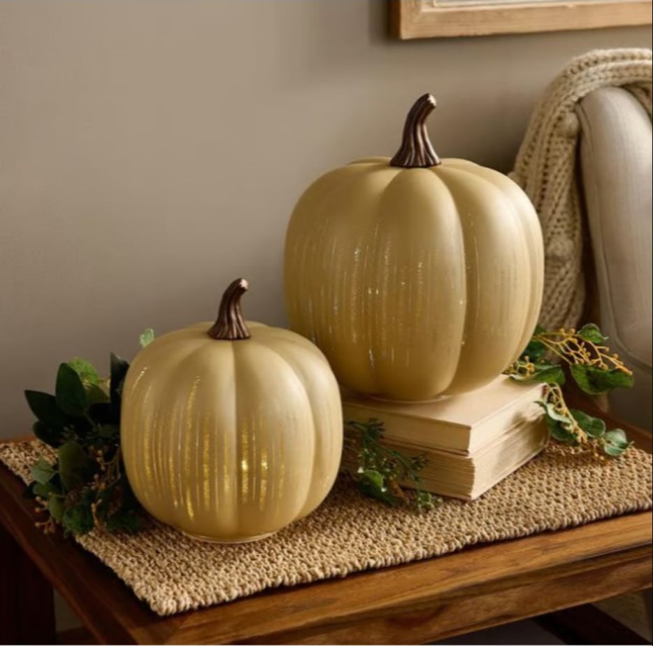 🎃Twinkle Light Pumpkins