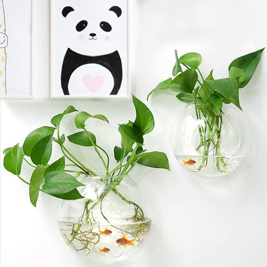 Glass Oblate Globe Plants Containers Wall Mount Clear Flower Vase