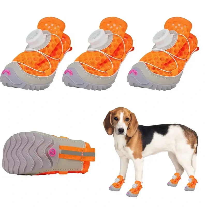 Comfy Paw Shoes