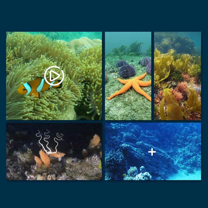 🎉🎉 The app-controlled surface drone for exploring bodies of water