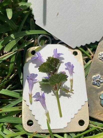💐2026 Micro Flower Press