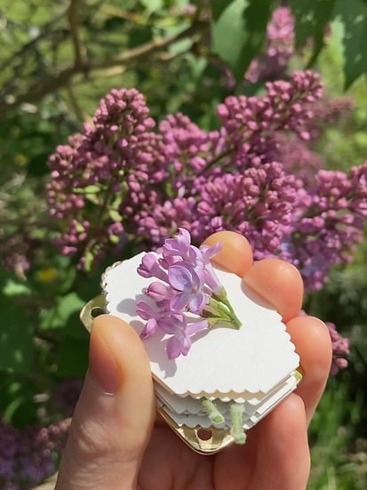 💐2026 Micro Flower Press